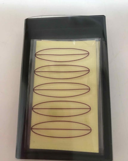 ãããð· on LIPS ãðãããð100éæðããããšãããããŸãéè«âç§ã®äºéäºæ
ã..ãïŒ4æç®ïŒ