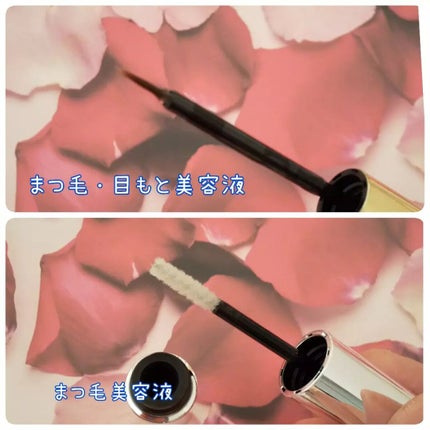 ラッシュプログラム /ISEHAN Lab./まつげ美容液を使ったクチコミ(2枚目)