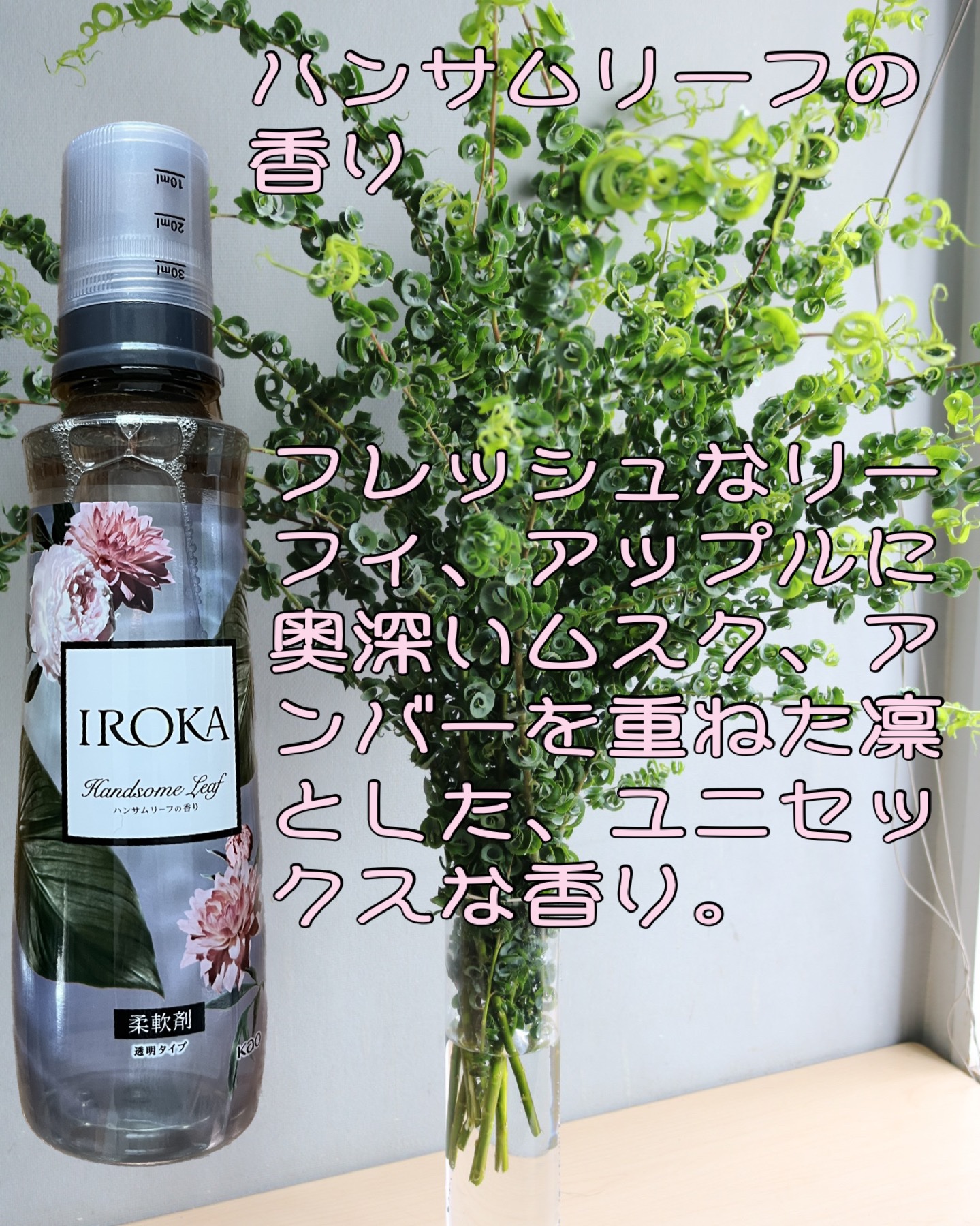 プレミアム柔軟剤 IROKA ハンサムリーフの香り/IROKA/柔軟剤を使ったクチコミ（3枚目）