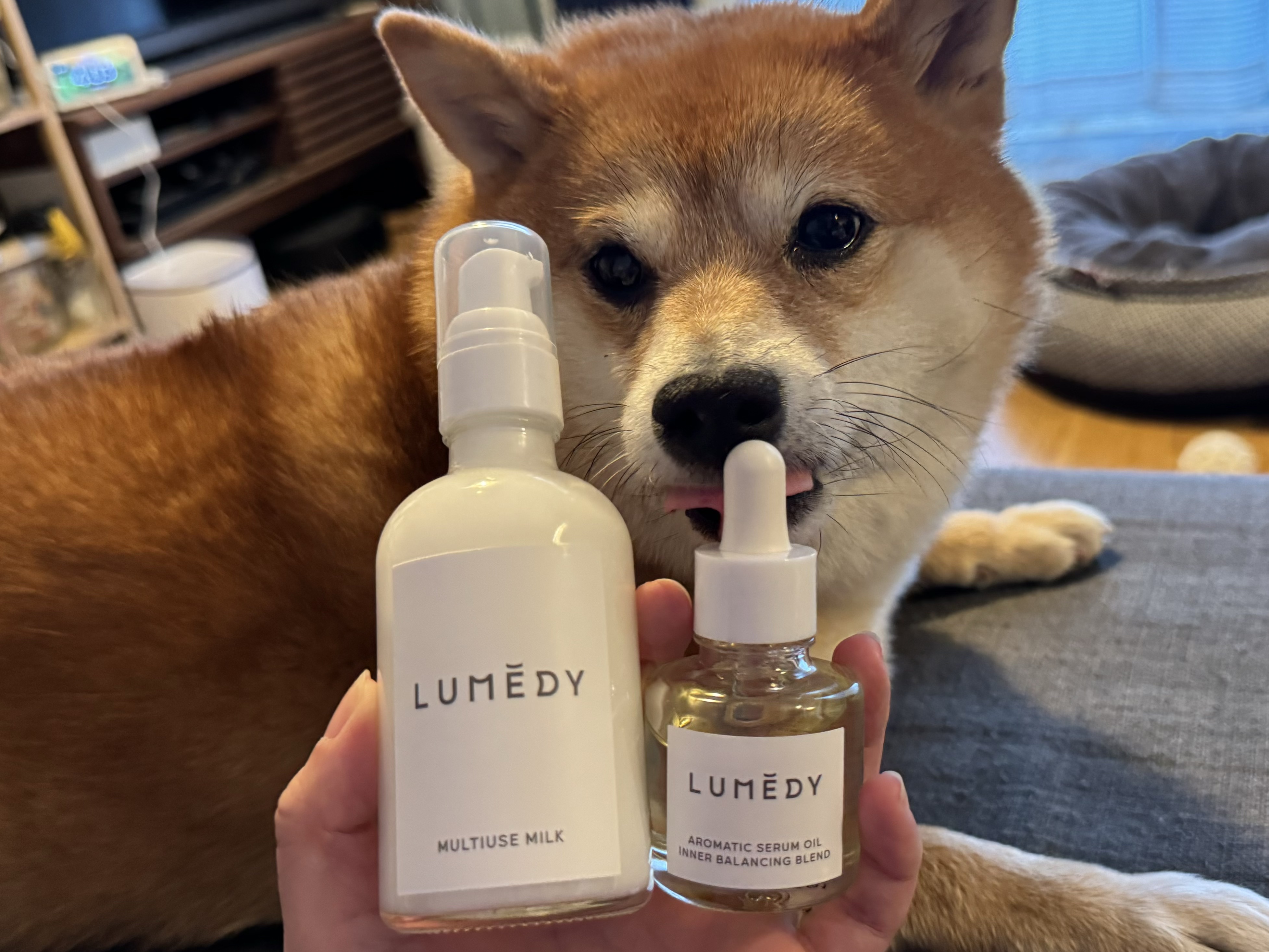 アロマティックセラムオイル  インナーバランシングブレンド/LUMEDY/フェイスオイルを使ったクチコミ（1枚目）