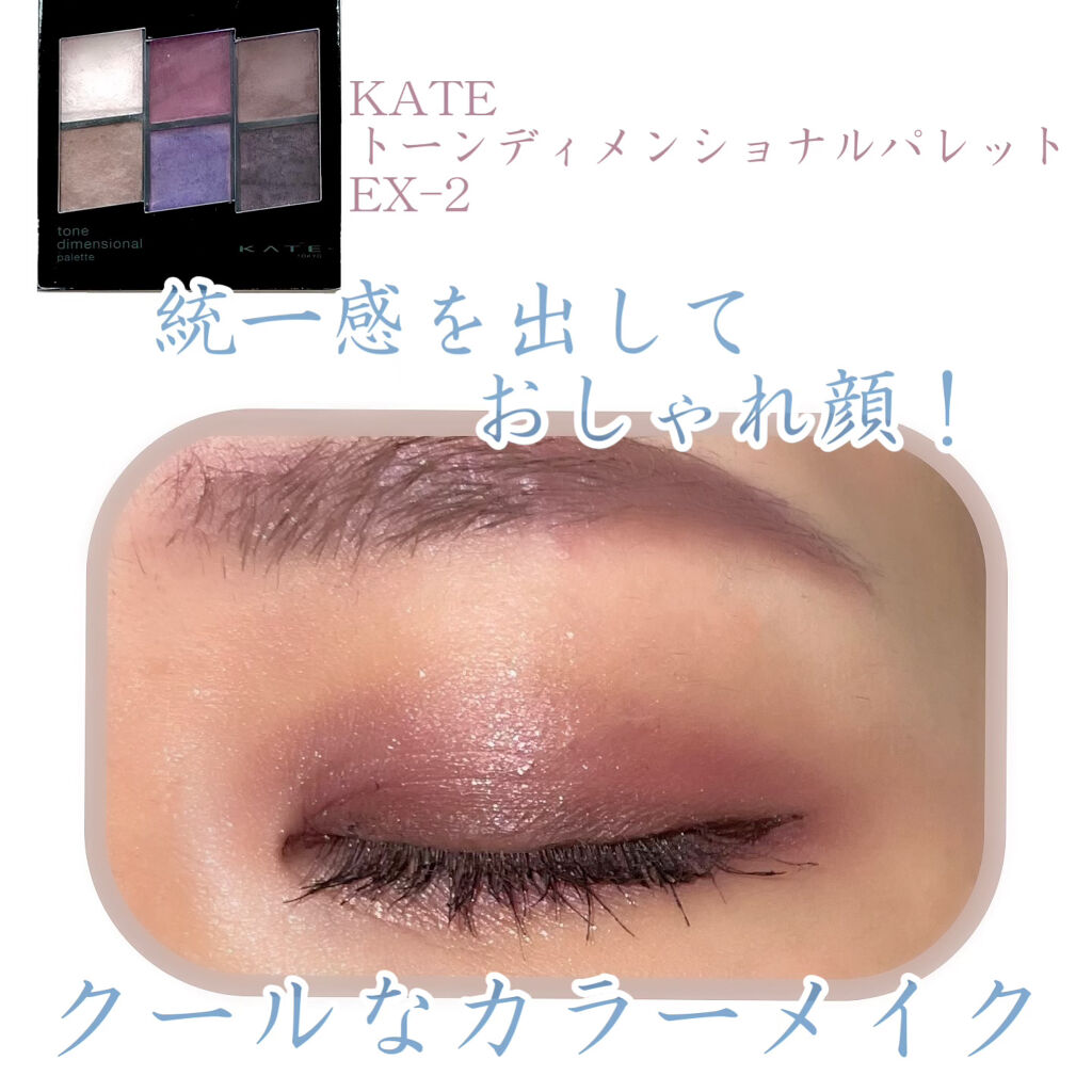 トーンディメンショナルパレット EX-2 パープルブラウン系/KATE/メイクアップキットを使ったクチコミ（1枚目）