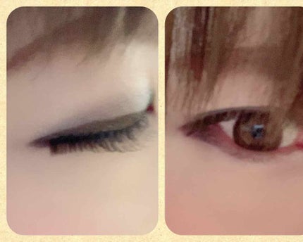 RiPiれるまつげ/アネックスジャパン/つけまつげを使ったクチコミ(2枚目)