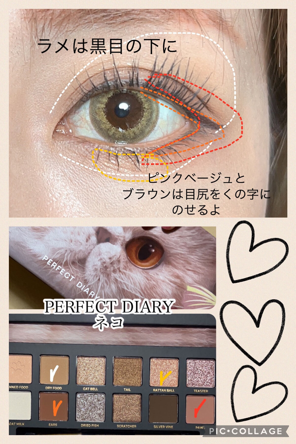 エクスプローラ12色 動物アイシャドウパレット/PERFECT DIARY/アイシャドウパレットを使ったクチコミ（3枚目）