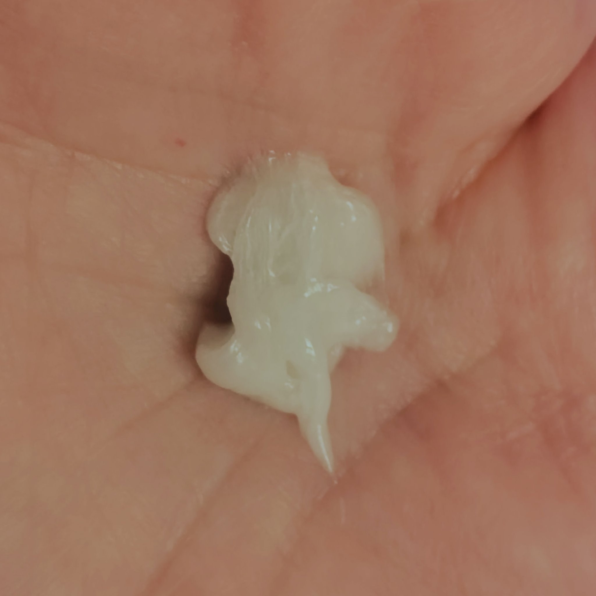 B.A ウォッシュ/B.A/洗顔フォームを使ったクチコミ（3枚目）