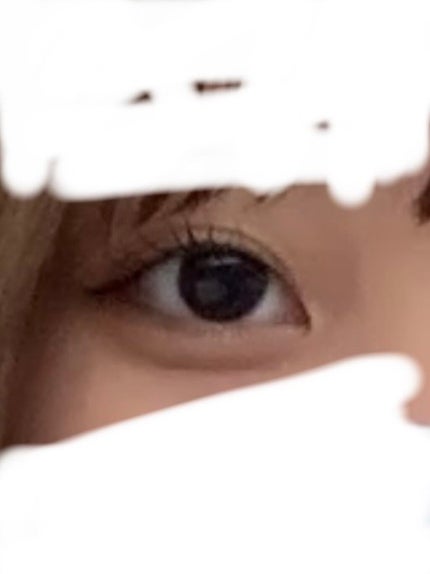 ラッシュエキスパンダー ロングロングロング/MAJOLICA MAJORCA/マスカラを使ったクチコミ(1枚目)