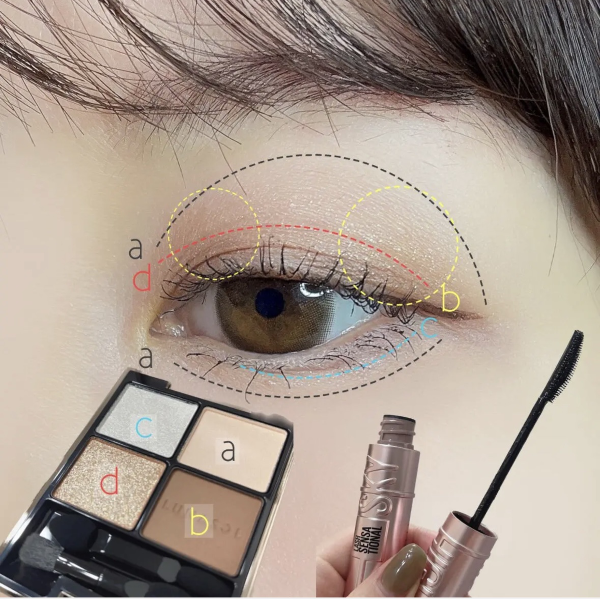 アイカラーレーション/LUNASOL/アイシャドウパレットを使ったクチコミ（2枚目）