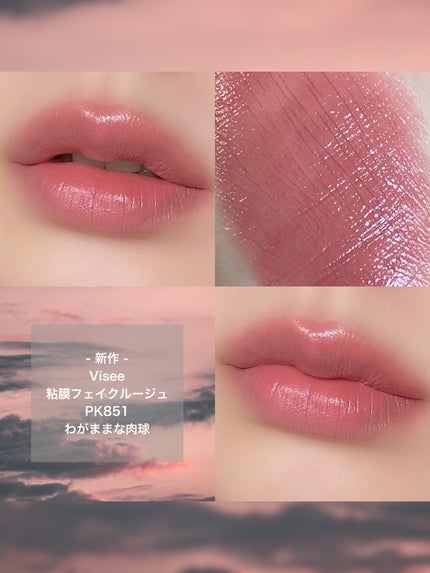 ネンマクフェイク ルージュ/Visée/口紅を使ったクチコミ(3枚目)