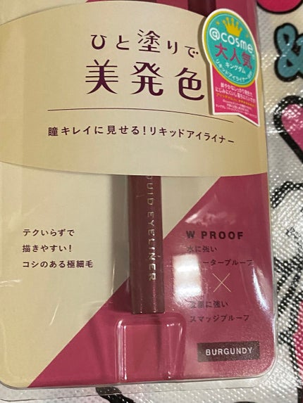 リキッドアイライナーWP /キングダム/リキッドアイライナーを使ったクチコミ(6枚目)