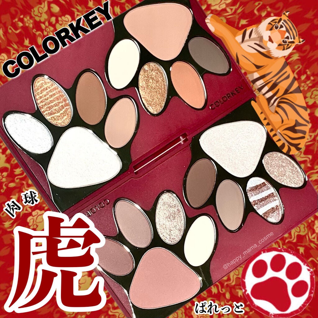 トラ十色アイシャドウパレット/COLORKEY/アイシャドウパレットを使ったクチコミ(1枚目)