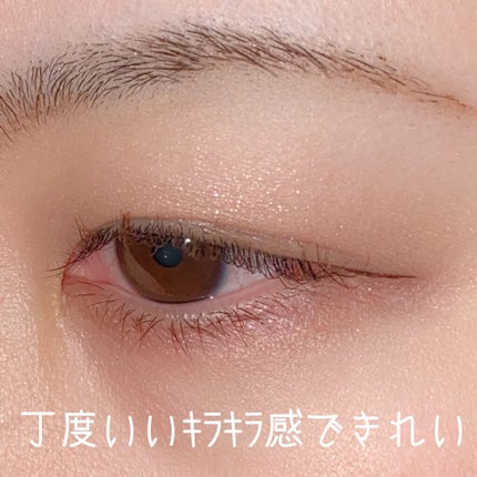 パノラマデザイン アイパレット/Visée/アイシャドウパレットを使ったクチコミ(4枚目)