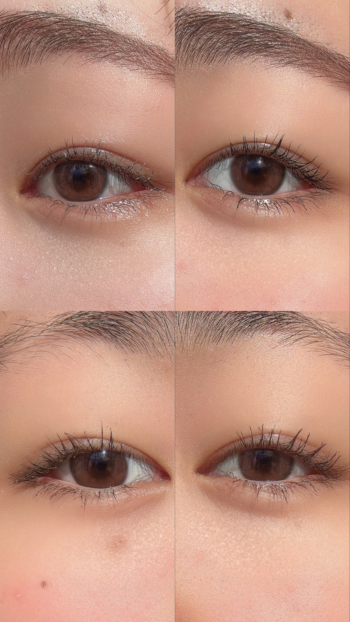 クイックラッシュカーラー/キャンメイク/マスカラ下地を使ったクチコミ（3枚目）