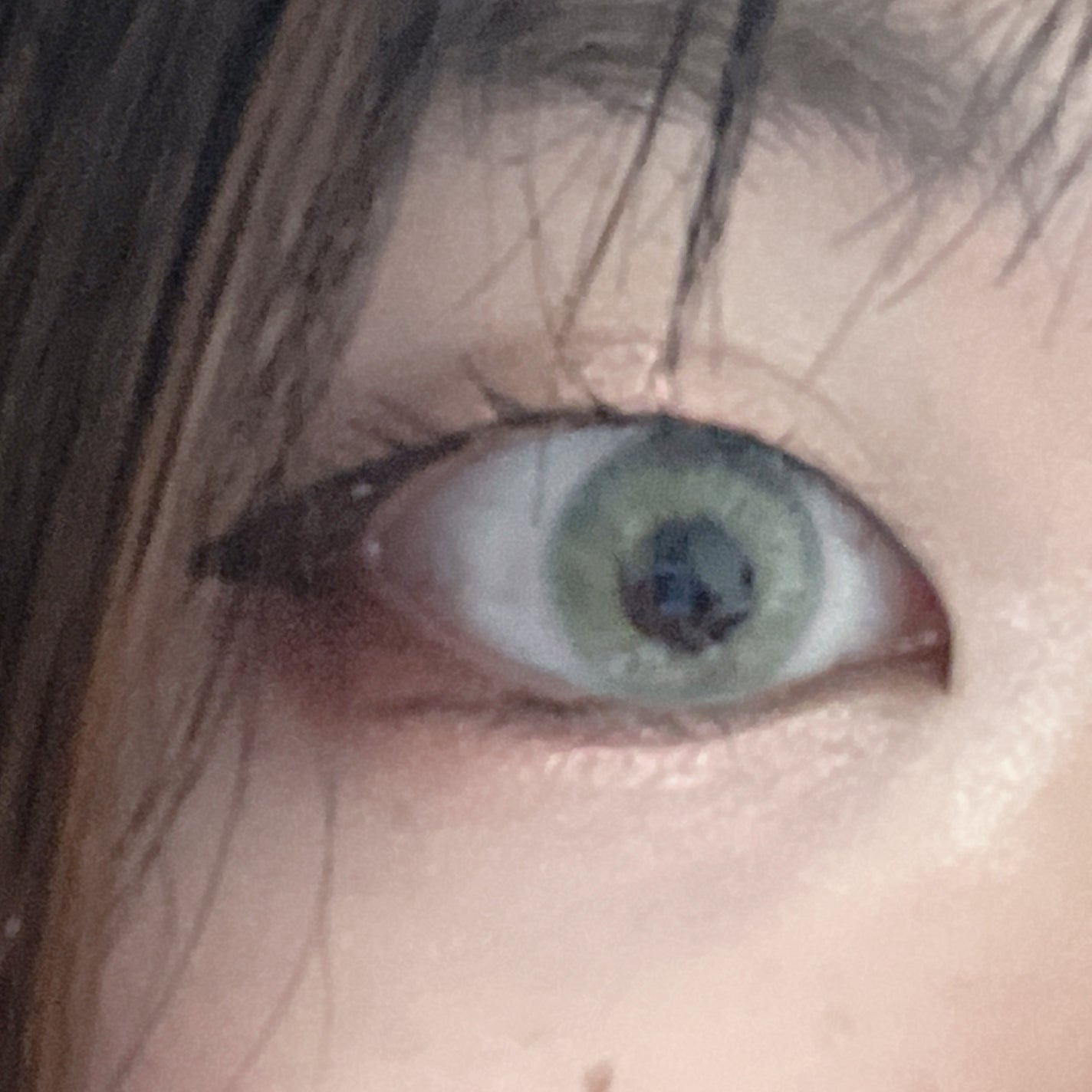 N’s COLLECTION 1day/N’s COLLECTION/ワンデー(1DAY)カラコンを使ったクチコミ(1枚目)