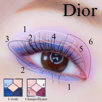 Dior ディオール ディオールショウ サンククルール 173 レトワール ディオールショウ サンク クルール(プラン ドゥ パリ
