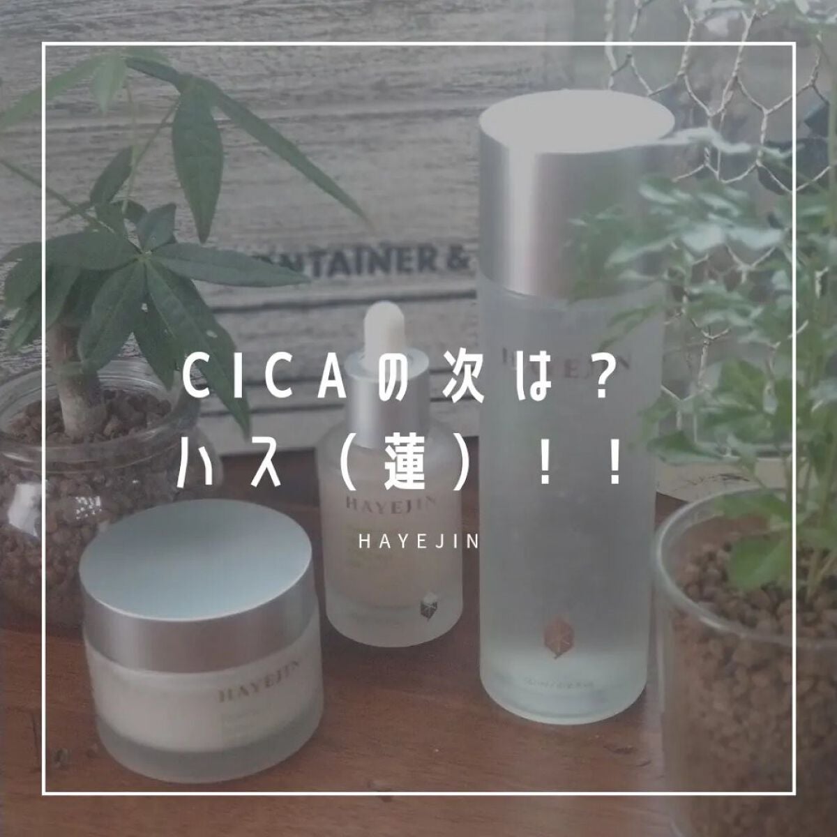 ブレッシングオブスプラウトラディアンストナー/HAYEJIN/化粧水を使ったクチコミ(1枚目)