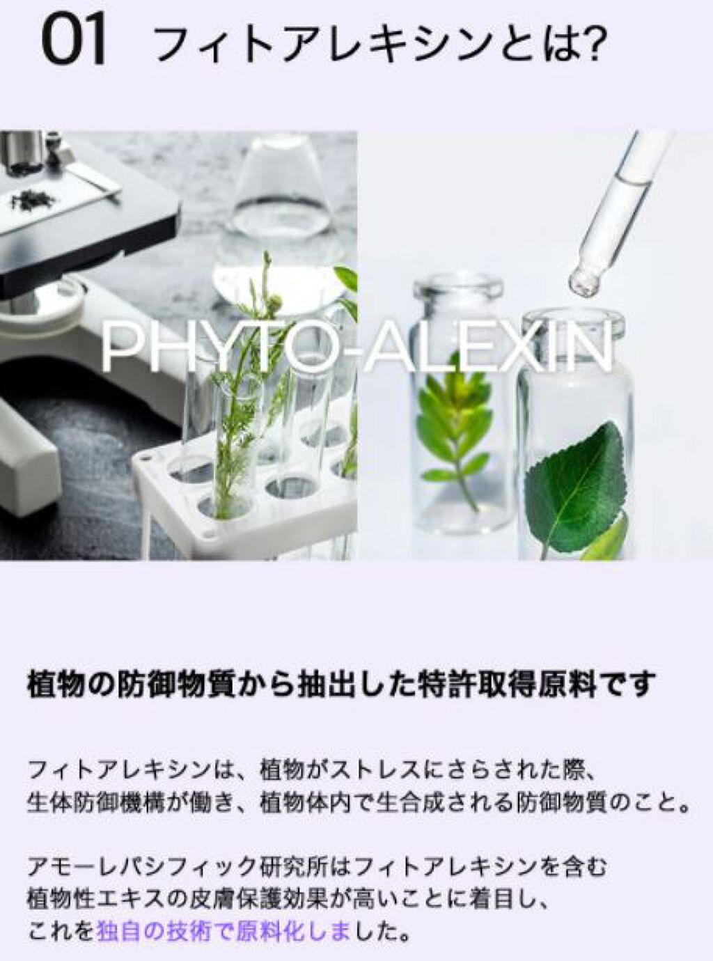 フィトアレキシン水分鎮静アンプル LANEIGE