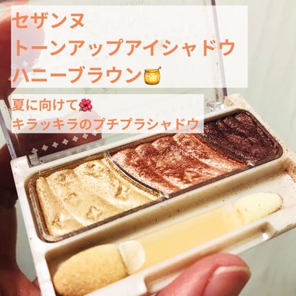 トーンアップアイシャドウ/CEZANNE/アイシャドウパレットを使ったクチコミ(1枚目)