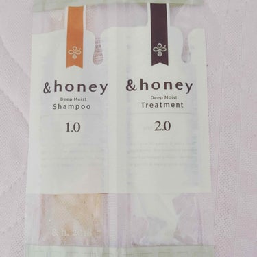 ディープモイスト シャンプー1.0／ヘアトリートメント2.0/&honey/シャンプー・コンディショナーを使ったクチコミ（1枚目）