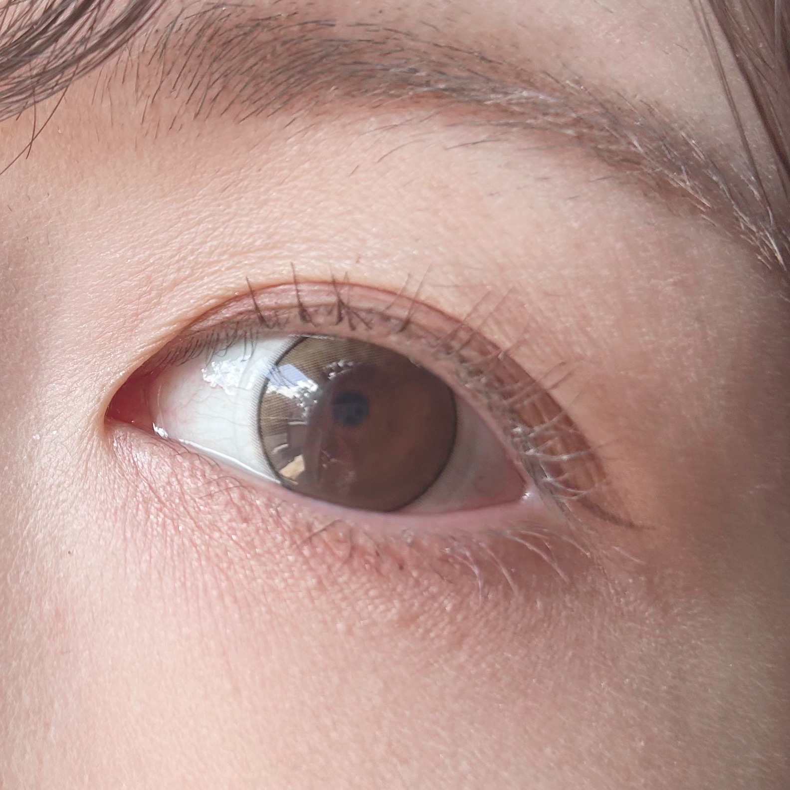 シームレストーン ブラッシュ/excel/パウダーチークを使ったクチコミ（2枚目）