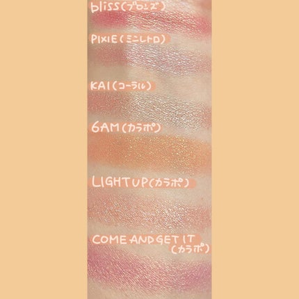 BRONZE PALETTE/Natasha Denona/アイシャドウパレットを使ったクチコミ(4枚目)