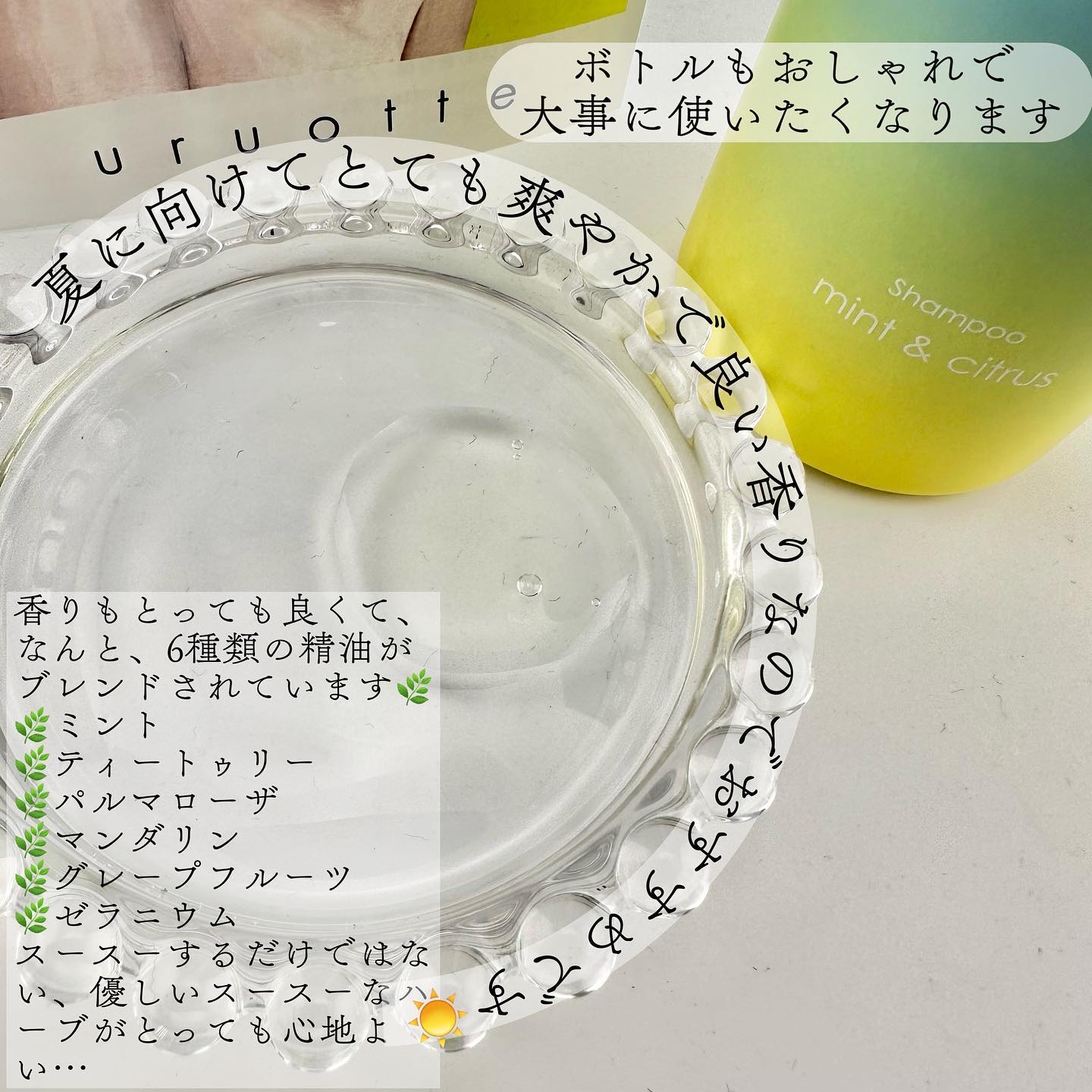 uruotte ナチュラルシャンプー ミント＆シトラス/uruotte(うるおって)/シャンプー・コンディショナーを使ったクチコミ（2枚目）