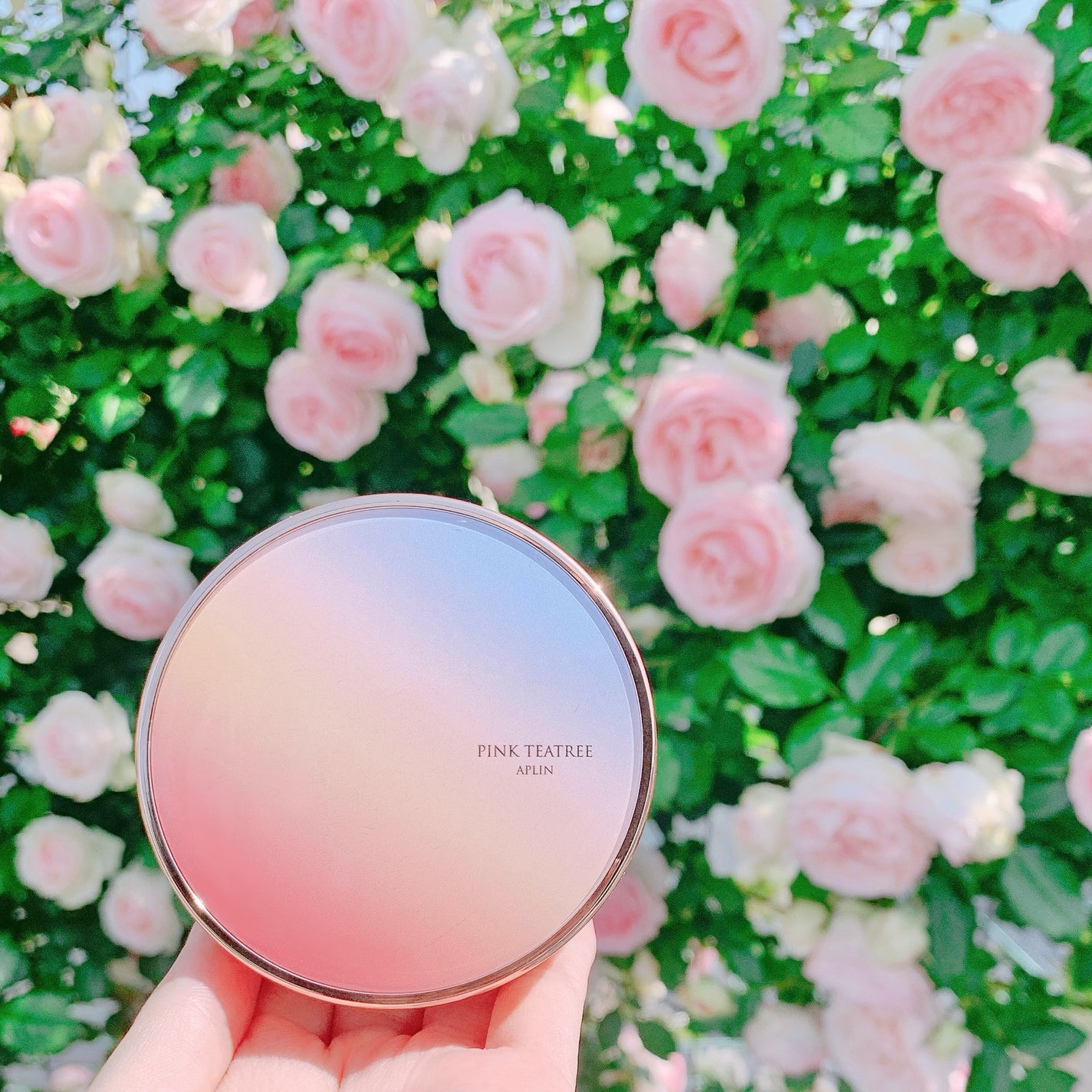 ピンクティーツリーカバーアップグロウクッション/APLIN/クッションファンデーションを使ったクチコミ(2枚目)