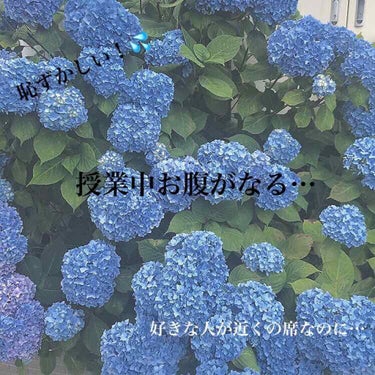 ３、４時間目からお腹がなってしまう…
静かな授業中がよりによって３、４時間目！💦
好きな人が近くなのに！💦恥ずかしい！😣

絶対鳴らないと言うわけではないのですが、これをしたとおかげで全然鳴らなくなった