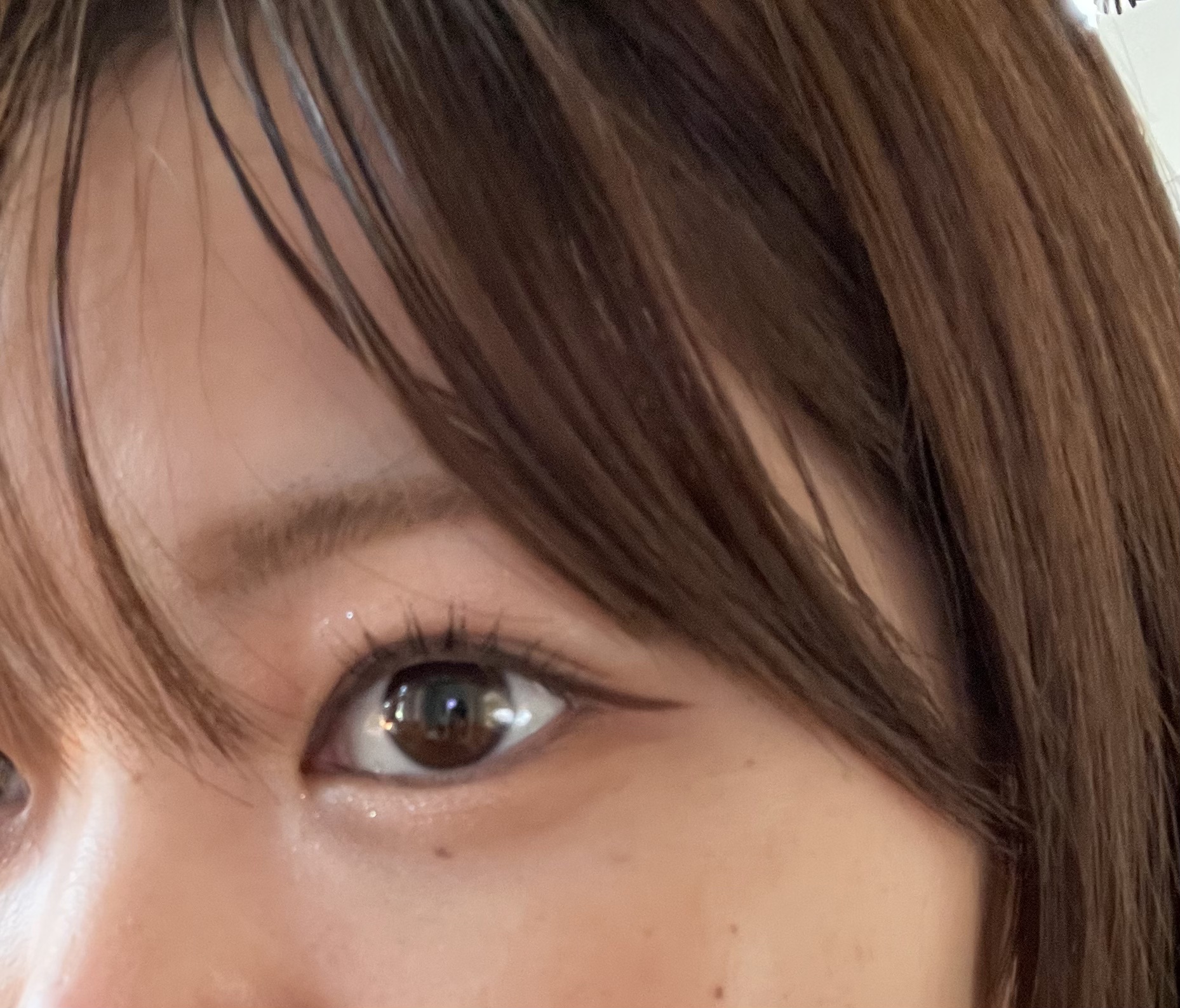 プレイカラーアイズ　ベアクーで塗れクー/ETUDE/アイシャドウパレットを使ったクチコミ（2枚目）