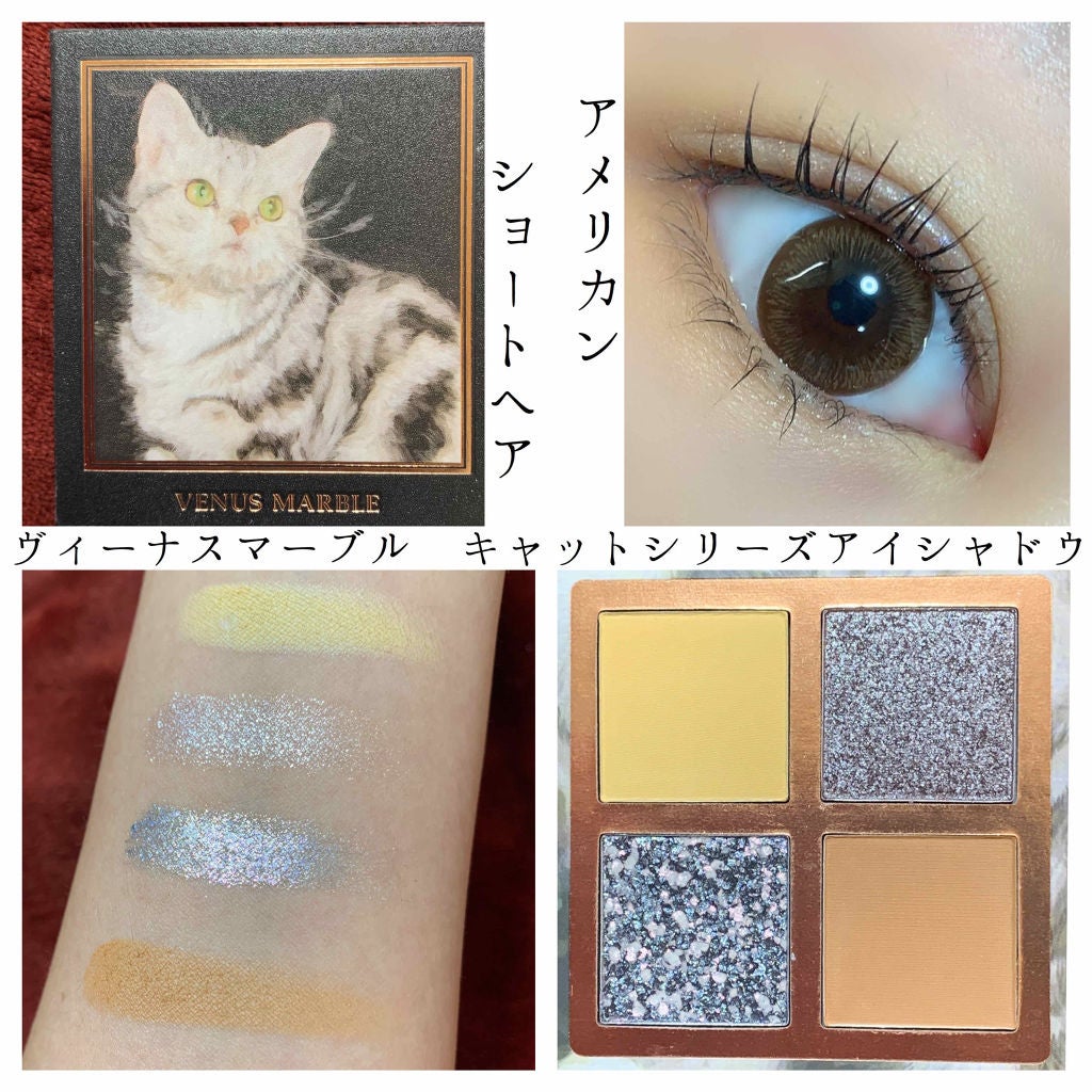 Venus Marble アイシャドウキャットシリーズ/Venus Marble/アイシャドウパレットを使ったクチコミ(1枚目)