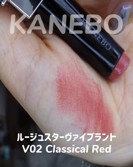 ネンマクフェイク ルージュ/Visée/口紅を使ったクチコミ(2枚目)