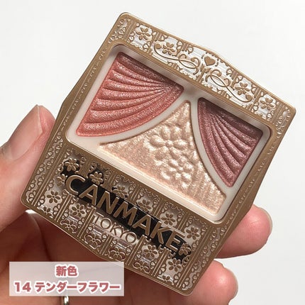 ジューシーピュアアイズ/キャンメイク/アイシャドウパレットを使ったクチコミ(4枚目)