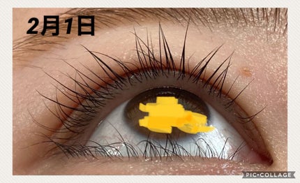 ビューティーラッシュ オリジン/Spa treatment/まつげ美容液を使ったクチコミ(4枚目)