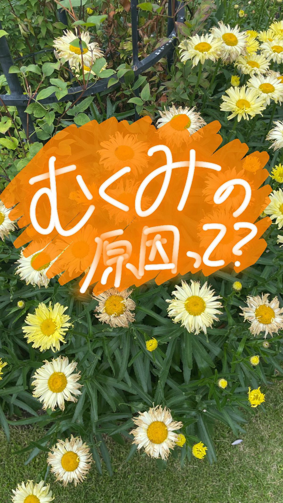 ã«ã on LIPS ãð¿å€ã®ããã¿ð¿ã¯ãŒã©ãŒãªã©ã§ãããã ããå£ç¯é¢ä¿ãªãããã¿ãã..ãïŒ1æç®ïŒ