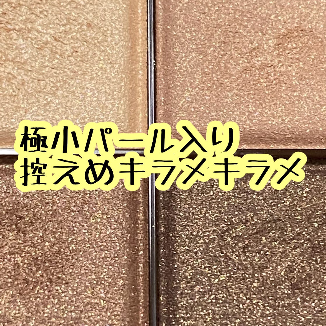 スキニーリッチシャドウ/excel/アイシャドウパレットを使ったクチコミ(2枚目)