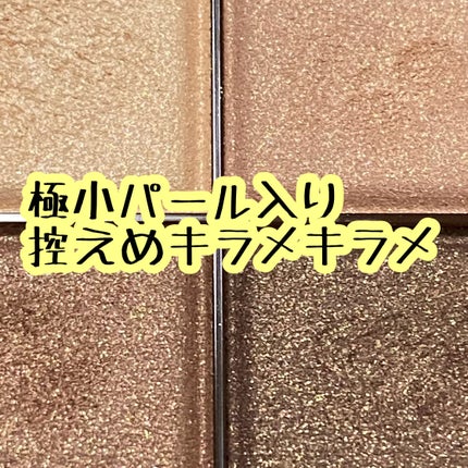 スキニーリッチシャドウ/excel/アイシャドウパレットを使ったクチコミ(2枚目)