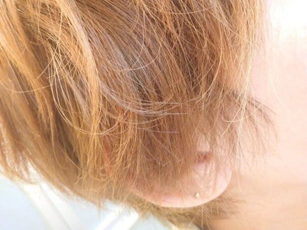 を使ったクチコミ(2枚目)