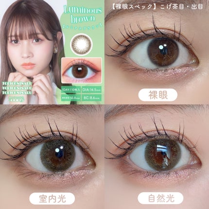 トリコニナル ワンデー ルミナスブラウン/トリコニナル/ワンデー(1DAY)カラコンの画像