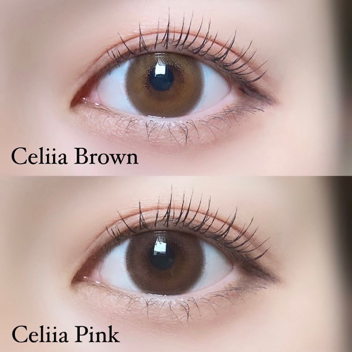 TeAmo 1DAY/TeAmo/ワンデー(1DAY)カラコンを使ったクチコミ(2枚目)