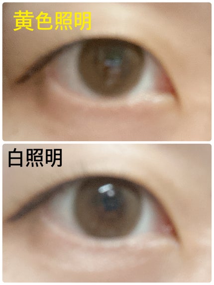 レヴィアワンデーカラー/ReVIA/ワンデー(1DAY)カラコンを使ったクチコミ(2枚目)