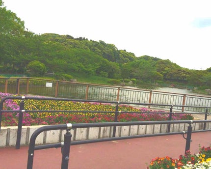 【旧品】マシュマロフィニッシュパウダー/キャンメイク/プレストパウダーを使ったクチコミ(1枚目)