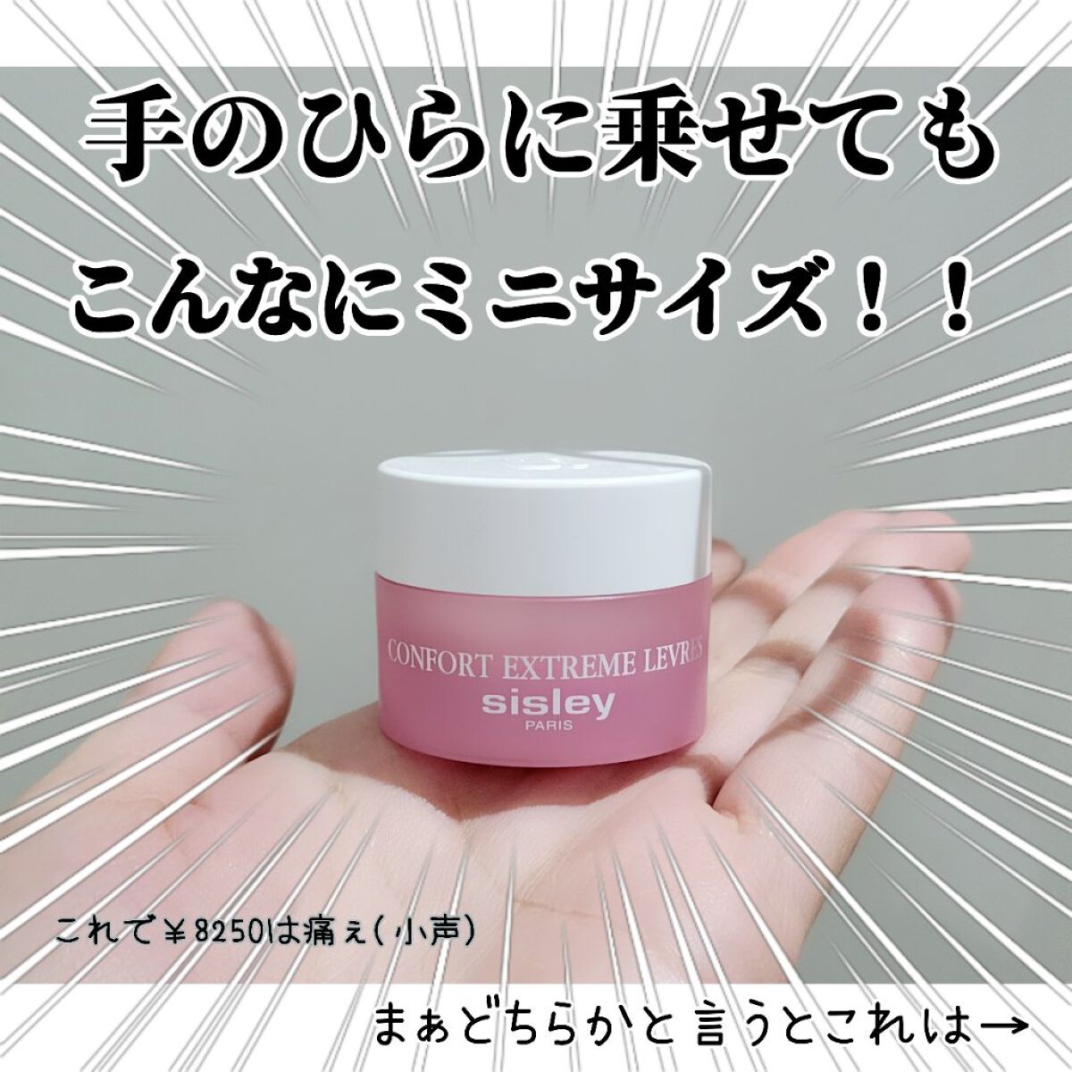 バーム コンフォール/シスレー/リップケアを使ったクチコミ（3枚目）