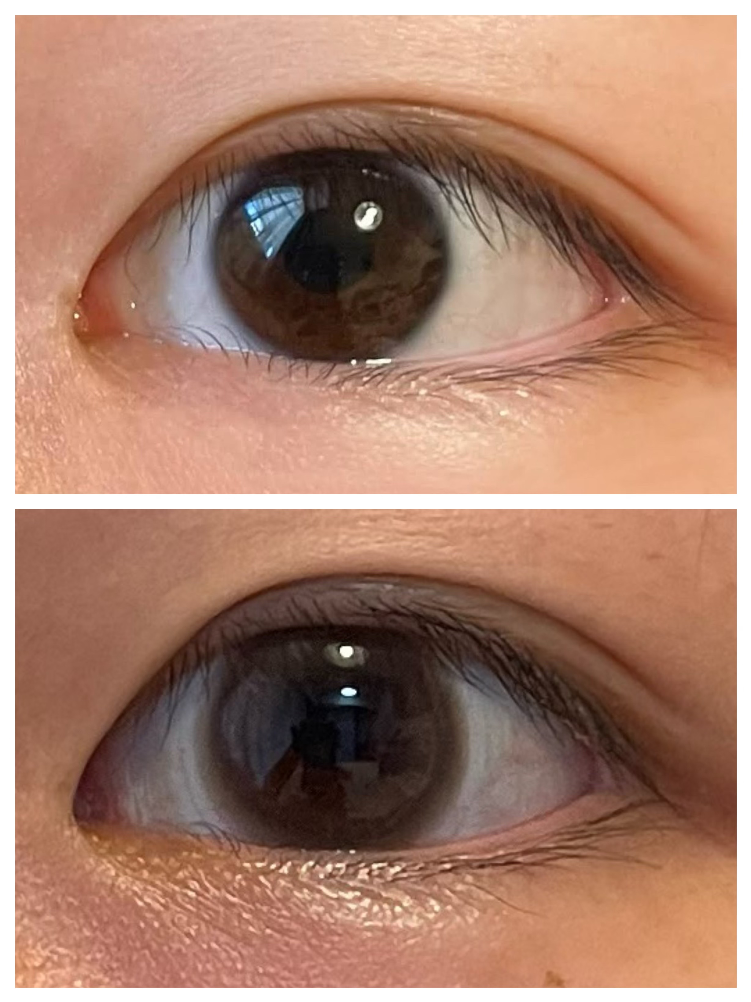 1-DAY Refrear dolemi シナモンミルク/Refrear/ワンデー（１DAY）カラコンを使ったクチコミ（2枚目）