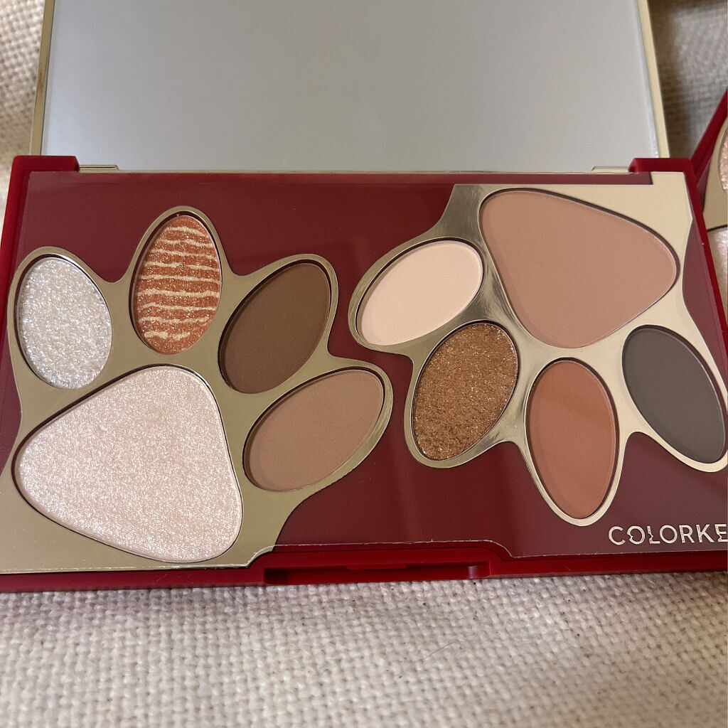 トラ十色アイシャドウパレット/COLORKEY/アイシャドウパレットを使ったクチコミ（3枚目）