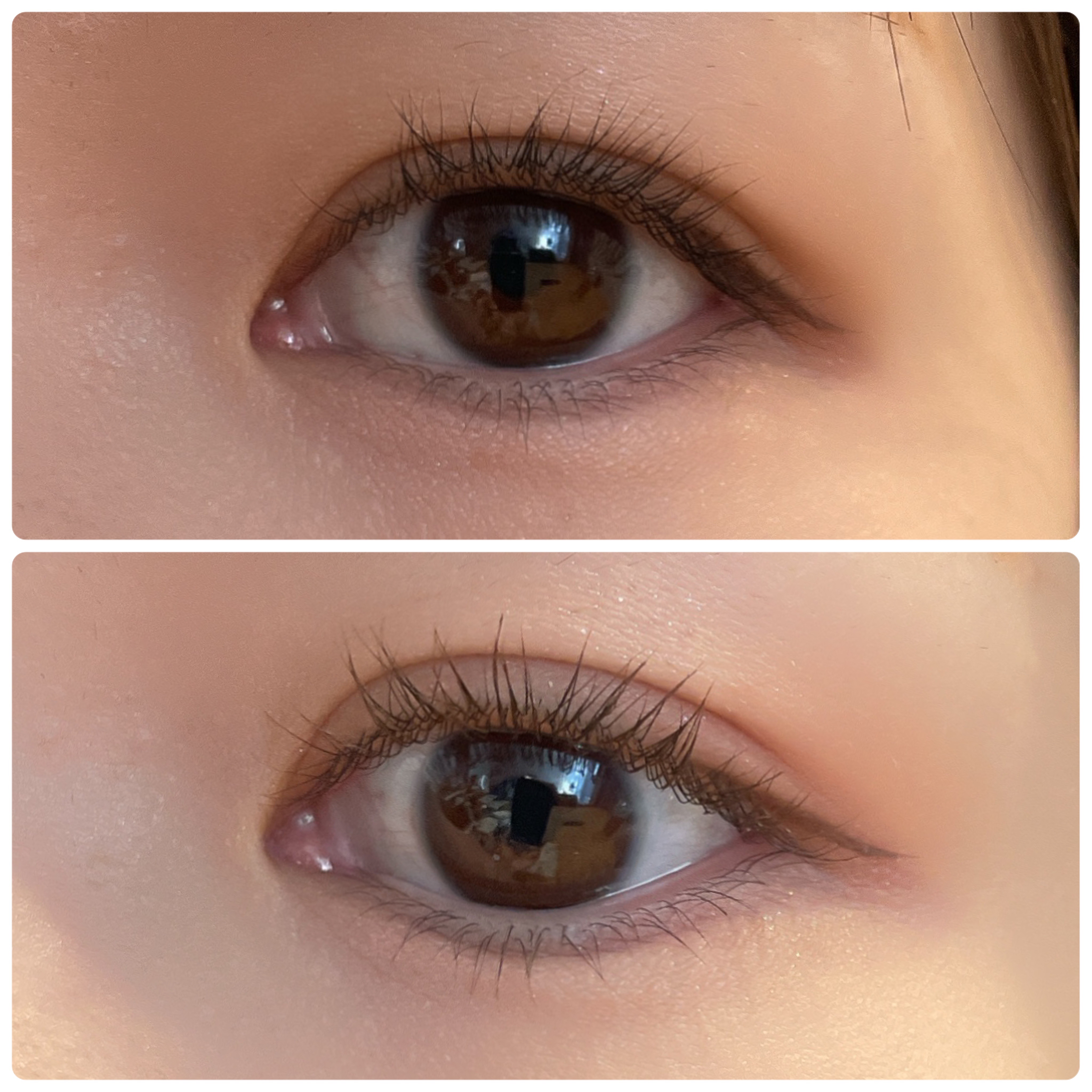 パワーラッシュカーラー/エクスラッシュ/ビューラーを使ったクチコミ（1枚目）