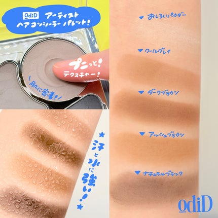 アーティストライン ヘアコンシーラーパレット/odiD/その他スタイリングを使ったクチコミ(3枚目)