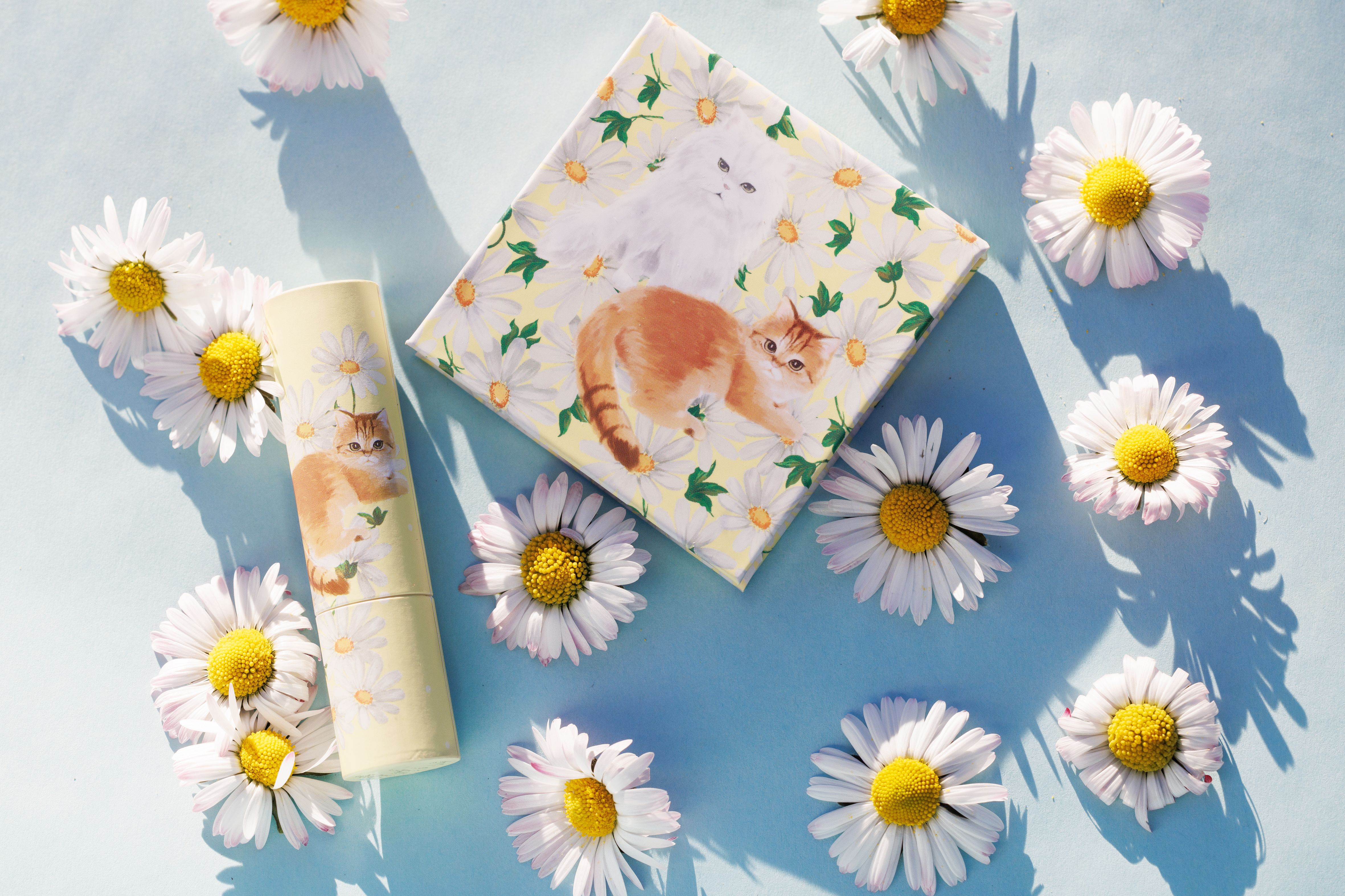 リップスティック ケース CS/PAUL & JOE BEAUTE/その他化粧小物を使ったクチコミ（2枚目）