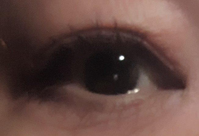 アイシャドウパレット/coou/アイシャドウパレットを使ったクチコミ（2枚目）