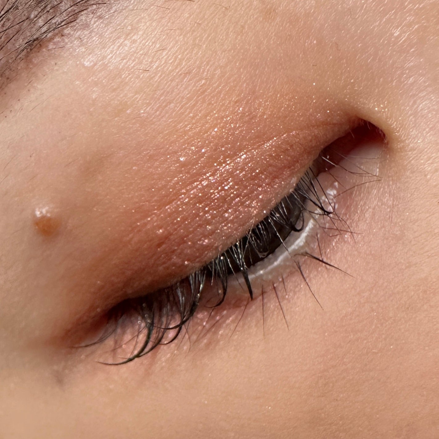 【旧】ディオールショウ サンク クルール(プラン ドゥ パリ コレクション限定品)/Dior/アイシャドウを使ったクチコミ(4枚目)