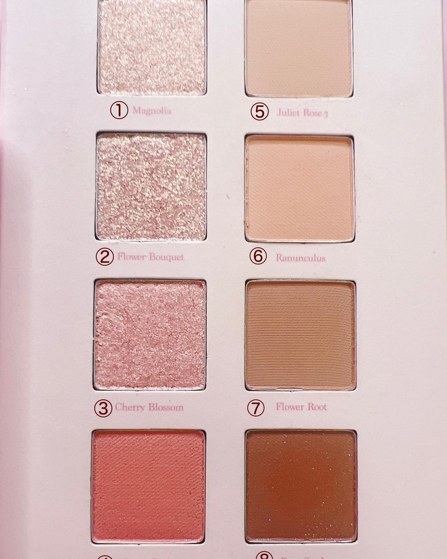 シャドウパレット/dasique/アイシャドウパレットを使ったクチコミ(4枚目)