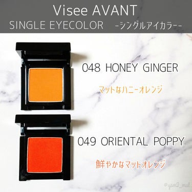 ヴィセ アヴァン シングルアイカラー 048 HONEY GINGER/Visée/シングルアイシャドウを使ったクチコミ（2枚目）