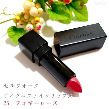 ディグニファイド リップス/Celvoke/口紅を使ったクチコミ(2枚目)